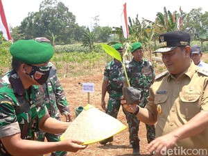 Bahtiar Dorong Kecamatan Budi Daya Pisang di Sulsel, Klaim Bisa Raup Rp 200 T