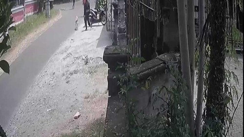 Tangkapan layar saat I Gede Adhiyasa dan I Made Adnyana bertengkar dan saling mengancam menggunakan senjata tajam, Senin (30/10/2023).