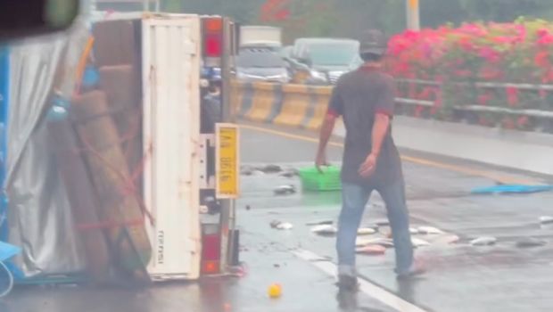 Satu unit mobil pikap yang mengangkut ikan hidup mengalami kecelakaan di Tol Wiyoto Wiyono, Jakarta. Muatan ikan yang dibawa pun tumpah dan bertebaran di jalan. (dok pribadi/Audrey Mulyana)