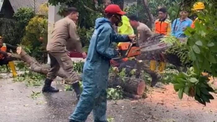 Tertimpa Pohon Saat Melintas, Pemotor di Bogor Alami Luka-luka (dok BPBD Kabupaten Bogor)