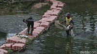 Hasil buruan mereka dijual dengan harga Rp 20-35 ribu per kilo.