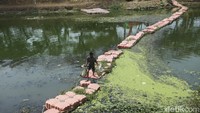 Begini kondisi debit air di Kanal Banjir Timur (BKT) saat debit air menyusut.