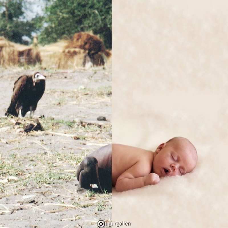 fotoinet perang ugurgallen