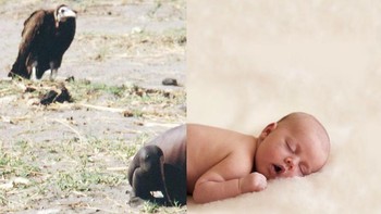 Hal ini pun mengilhami dirinya untuk menggabungkan kehidupan di negara konflik yang sering perang dengan kehidupan negara yang aman dan nyaman. (Foto: Instagram/ugurgallen)  