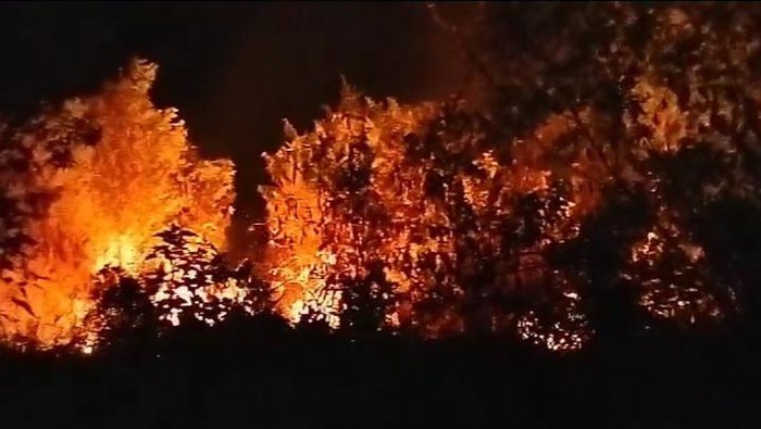 Gunung Penanggungan terbakar