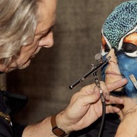 Transformasi Heidi dimulai sekitar tengah hari pada Halloween. Makeup artist mulai mengoleskan lem, cat metalik, berlian imitasi, bulu mata palsu dan produk lainnya. Ia sempat bercanda bahwa untuk bisa mencium suaminya, Tom Kaulitz, seorang musisi Jerman, dia harus mematuknya. Foto: Dok. Instagram/@heidiklum