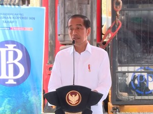 Cerita Jokowi Diam-diam Bentuk Tim Kaji Pindah IKN Sejak 2014