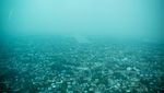 Kabut Asap Masih Mengepung Kota Palembang