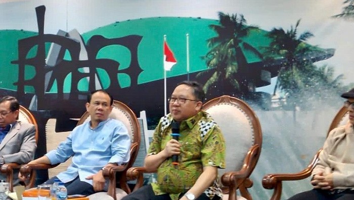 Ketua DPP PPP Syaiful Tamliha (Firda Chintya/detikcom)