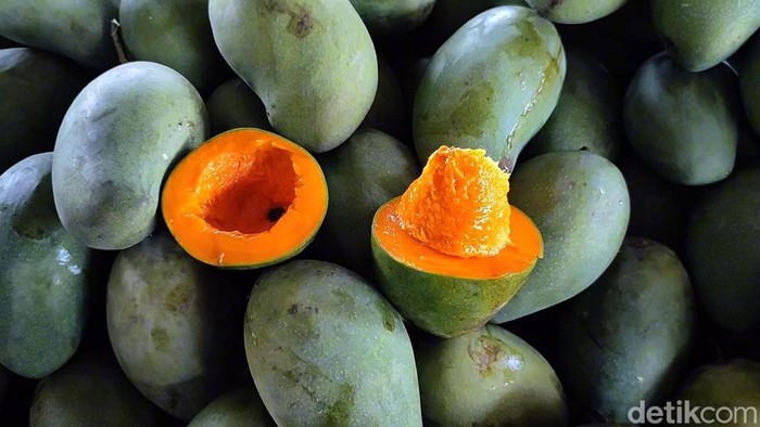 Manisnya mangga alpukat Pasuruan