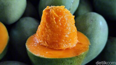 Manisnya Cuan dari Mangga Alpukat Pasuruan