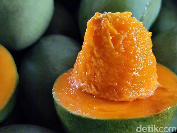 Manisnya Cuan dari Mangga Alpukat Pasuruan