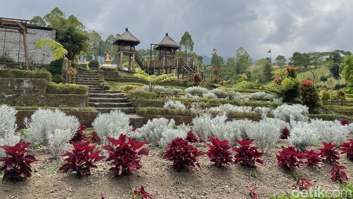 Menikmati Indahnya Taman Bunga Edelweis Tanpa Mendaki Menikmati Indahnya Taman Bunga Edelweis Tanpa Mendaki