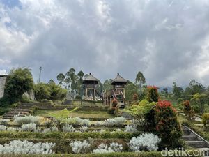 Foto-foto Cantik Sama Bunga Edelweis Tanpa Perlu Mendaki di Bali