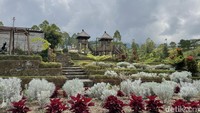 Spot foto yang paling recommended untuk dicoba adalah ayunan dan anjungan menara kembar. Dua spot foto itu tak hanya menyajikan hamparan edelweis, tapi menyajikan pemandangan Pulau Bali. Tak hanya berfoto, detikTravel juga sempat bersantai di gazebo dan mencicipi menu lezat di Taman Edelweis Bali. 