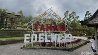Taman Edelweis Bali berlokasi di Desa Temukus, Kecamatan Rendang, Kabupaten Karangasem. Lokasi bisa ditempuh menggunakan kendaraan roda dua maupun roda empat dengan waktu sekitar 2 jam dari Kota Denpasar.