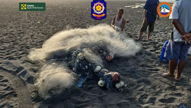 Nelayan yang menjadi korban kecelakaan laut di Pantai Congot, Kulon Progo, Kamis (2/11/2023).