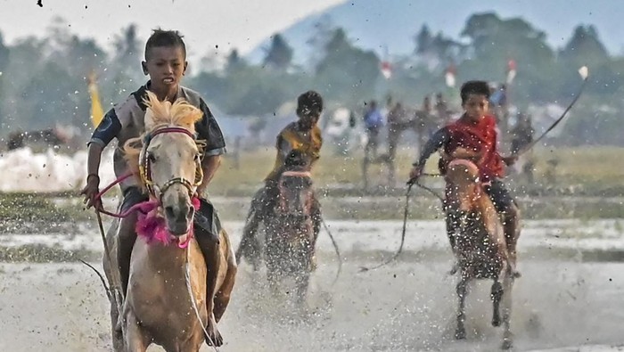 Pacuan kuda lumpur di Dompu Joki cilik memacu kudanya saat gelaran pacuan kuda tradisional Dompu (pacoa Jara) di sawah yang berlumpur di Kelurahan Monta Baru, Kecamatan Woja, Kabupaten Dompu, NTB, Kamis (2/11/2023). Pacuan kuda yang digelar di lahan persawahan yang berlumpur tersebut diikuti oleh 100 kuda pacuan dari kandang kuda yang ada di Sumbawa, Bima dan Dompu sebagai bentuk tradisi, hiburan rakyat sekaligus menjadi ajang silaturahim antar warga penggemar pacuan kuda tradisional. ANTARA FOTO/Ahmad Subaidi/foc.