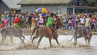 Sejumlah joki cilik memacu kuda mereka saat gelaran pacuan kuda tradisional Dompu (pacoa Jara) di sawah yang berlumpur di Kelurahan Monta Baru, Kecamatan Woja, Kabupaten Dompu, NTB, Kamis (2/11/2023).