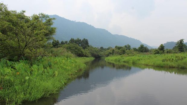 Rawa Danau. (Dok. Cagar Alam Rawa Danau)