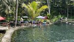 Segar... Mandi di Kolam Alami Telaga Surya Bali