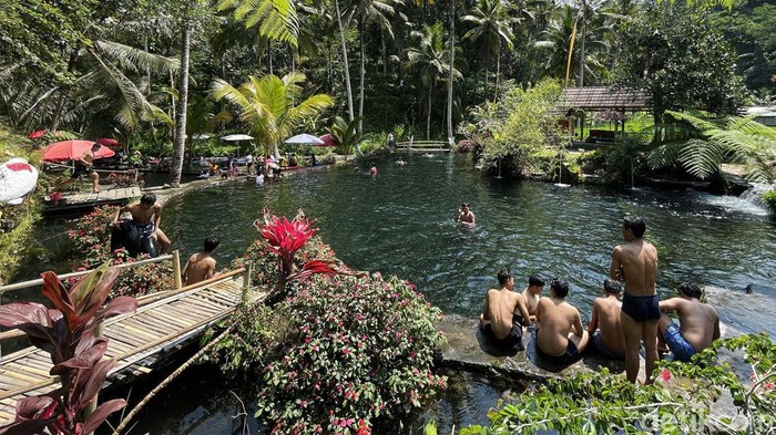 Segarnya Mandi Sambil Menikmati Alam di Telaga Surya Bali Bosan liburan ke pantai? Telaga Surya di Bali bisa jadi pilihan karena menawarkan kesegaran pemandian alami dengan pemandangan alam yang eksotis.