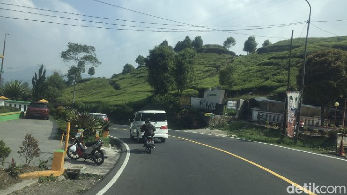 Suasana kawasan Puncak, Jawa Barat