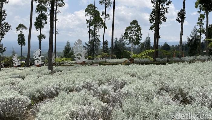 Taman Edelweis Bali