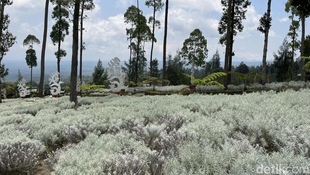 Taman Edelweis Bali