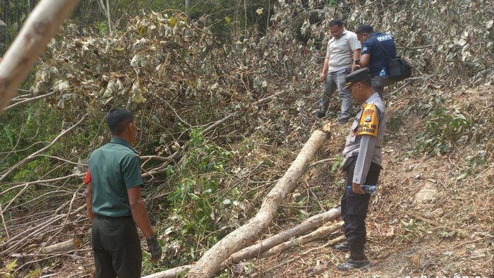 warga Blitar tewas tertimpa pohon