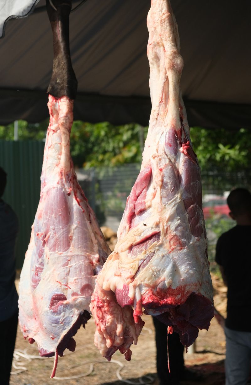 Apa Benar Daging Halal Lebih Sehat Dibandingkan Daging Biasa?