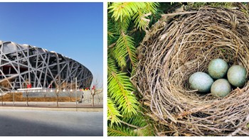 Beijing National Stadium di China, terinspirasi dari bentuk sarang burung di tengah alam dalam pola yang terlihat acak. Karenanya stadion ini juga dikenal dengan sebutan Beijings Bird Nest atau Sarang Burung Beijing. Foto: SkyRyeDesign