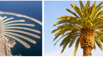 Palm Islands di Dubai, sama seperti namanya, pulau ini dibuat persis berbentuk pohon palem. Pulau buatan ini terdiri atas batang dan mahkota yang terdiri atas 16 daun. Di sampingnya terdapat sebuah pulau berbentuk bulan sabit yang merupakan rumah bagi resor mewah. Foto: SkyRyeDesign