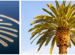 Mahakarya Arsitektur Dunia yang Terinspirasi dari Alam