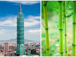 Mahakarya Arsitektur Dunia yang Terinspirasi dari Alam