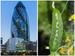 Mahakarya Arsitektur Dunia yang Terinspirasi dari Alam