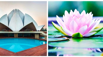 Lotus Temple di New Delhi, India. Desain kuil terinspirasi oleh bunga teratai yang merupakan bunga nasional India. Para insinyur membangun bangunan tersebut dari 27 daun. Setiap daun adalah lempengan beton berdiri bebas berlapis marmer. Foto: SkyRyeDesign