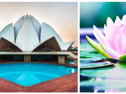 Mahakarya Arsitektur Dunia yang Terinspirasi dari Alam
