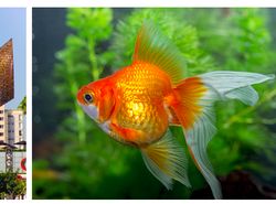 Mahakarya Arsitektur Dunia yang Terinspirasi dari Alam