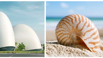 Center for Disease Control di Taiwan, terinspirasi oleh bentuk Nautilus Shell, sejenis hewan kerang dengan cangkang yang indah. Foto: SkyRyeDesign