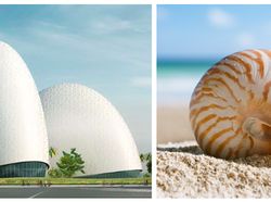 Mahakarya Arsitektur Dunia yang Terinspirasi dari Alam