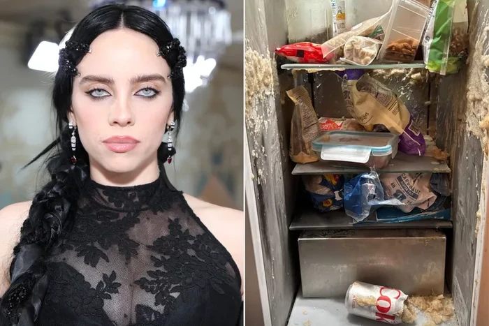 Kulkas jorok milik Billie Eilish