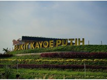 Harga Tiket Bukit Kayoe Putih, Tempat Wisata Lengkap dengan Kolam Renang