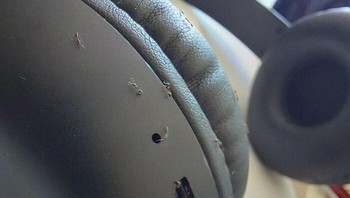 Melihat headphone yang dijadikan sarang semut bikin merinding. Foto: Reddit via Boredpanda