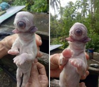 Foto aneh bikin merinding
