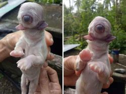 Deretan Foto Aneh Bikin Merinding Ketika Melihatnya