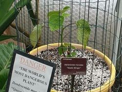 Deretan Foto Aneh Bikin Merinding Ketika Melihatnya