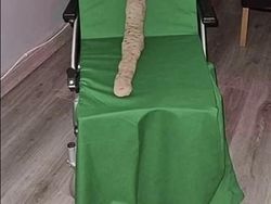 Deretan Foto Aneh Bikin Merinding Ketika Melihatnya