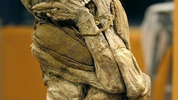 Mumi Abad ke-15 Ini Ditemukan di Hutan. Foto: Reddit via Boredpanda