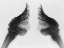 Deretan Foto Aneh Bikin Merinding Ketika Melihatnya